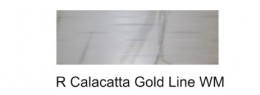 Плитка облицовочная Атем  200x600 R Calacatta Gold Line WM