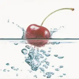 Декор-панно OPOCZNO WATER SPARKLES Inserto Cherry 