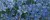 Плитка облицовочная Атем  200х500 L Yalta Flower BL, фото