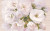 Плитка облицювальна Cersanit 250х400 Carmel Inserto Flower, фото