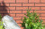 Плитка фасадна Cerrad 65х245х6,5 Rot Rustico, фото 1