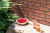 Плитка фасадна Cerrad 65х245х6,5 Rot Rustico Shaded, фото 1