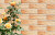 Плитка фасадна Cerrad 65х245х6,5 Gobi Rustico, фото 1